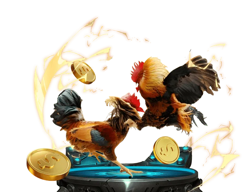 Bảo vệ dữ liệu người dùng tik88